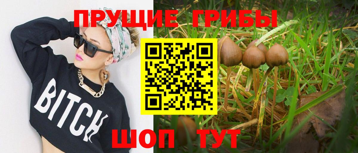 Галлюциногенные грибы Psilocybe  Вход с VPN  Аксай 