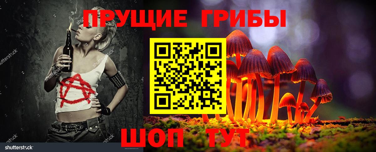 Галлюциногенные грибы Psilocybine cubensis Аксай